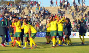 Cosafa offers fans free entry - Sports Leo