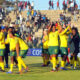 Cosafa offers fans free entry - Sports Leo