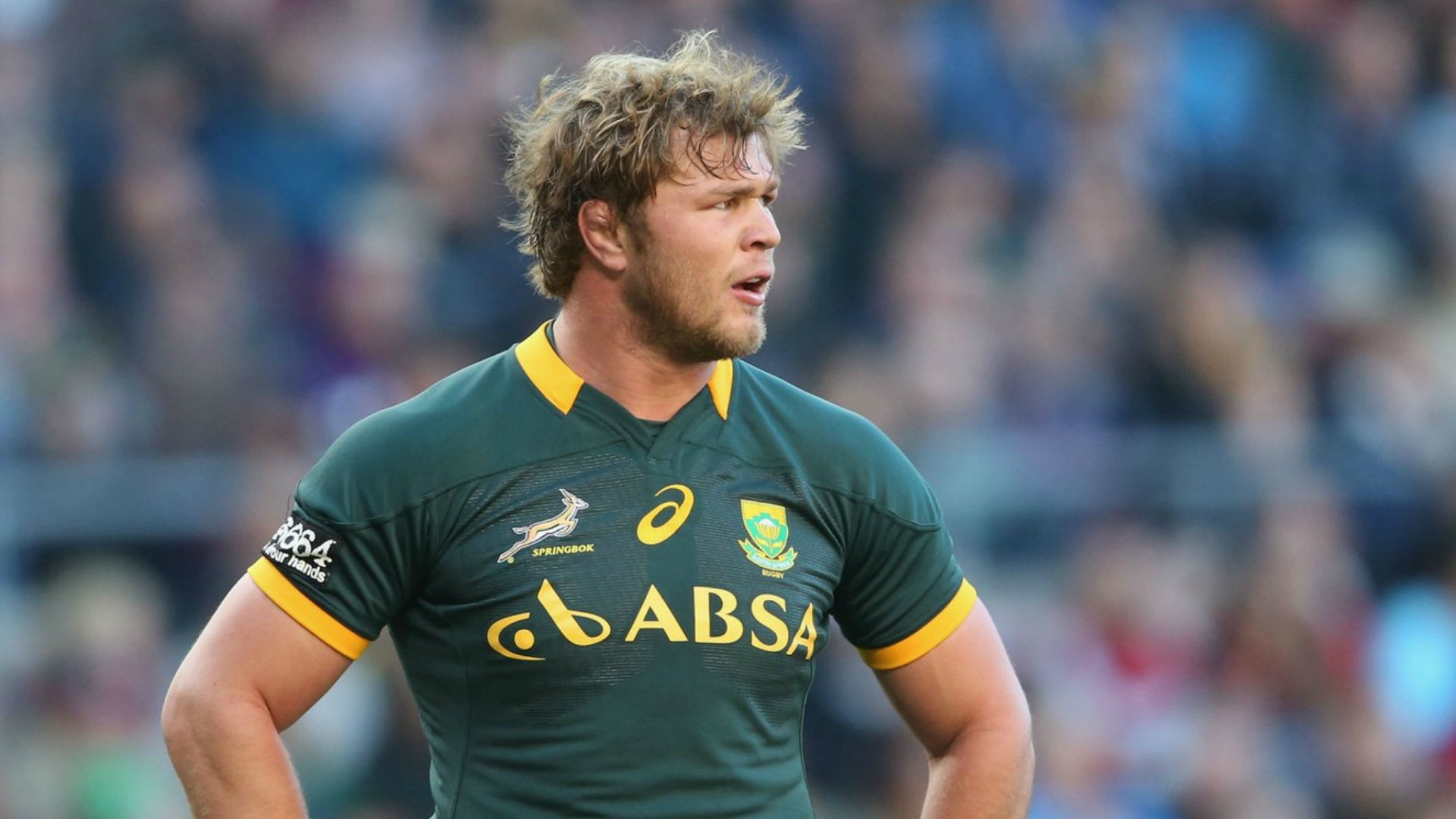 Duane Vermeulen to lead Springboks against New Zealand in 2019 Castle Lager Championship - Sports Leo