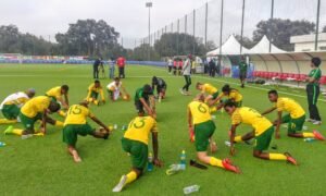 SAFA announce Women’s National League fixtures - Sports Leo