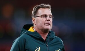 Springboks ready for Argentina - Sports Leo