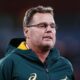 Springboks ready for Argentina - Sports Leo