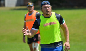 Gloucester sign Stormers prop Corné Fourie on short-term - Sports Leo