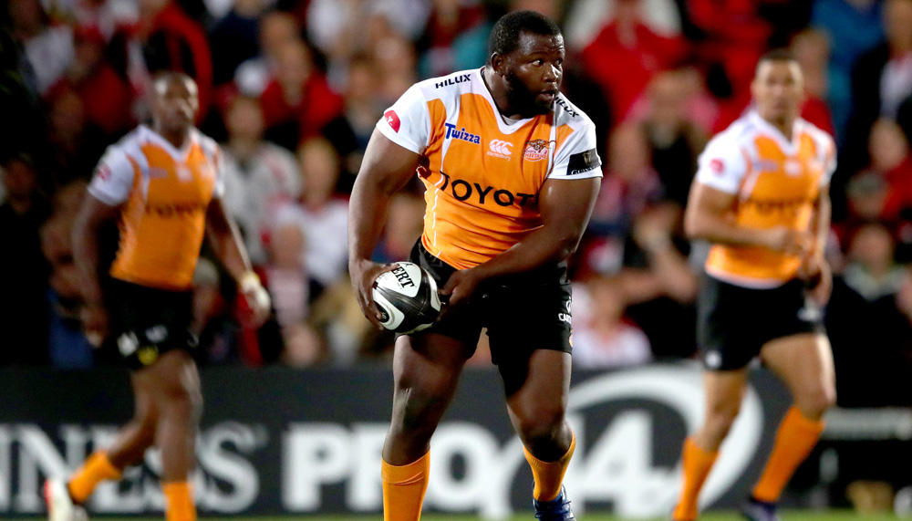 Kings and Cheetahs represent South Africa in Pro14 - Sports Leo