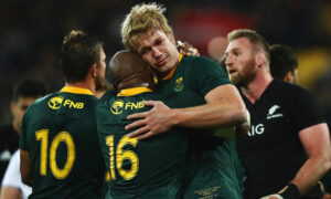 Springboks embrace lessons in New Zealand defeat - Sports Leo