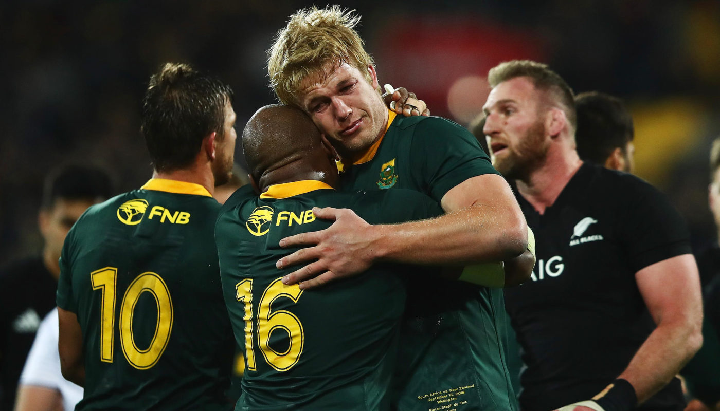 Springboks embrace lessons in New Zealand defeat Sports Leo