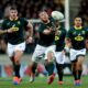 Springboks praise Namibia ahead of Rugby World Cup clash - Sports Leo