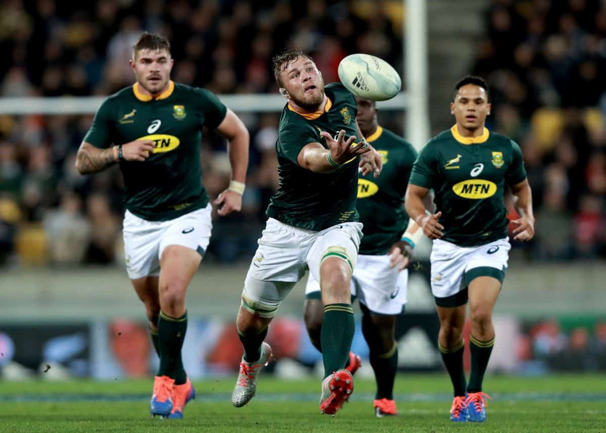 Springboks praise Namibia ahead of Rugby World Cup clash - Sports Leo