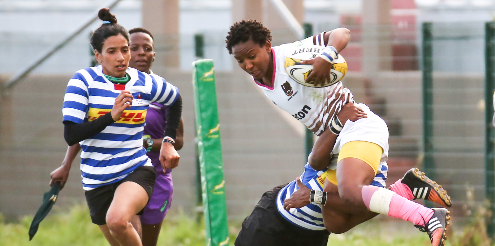 Western Province Women target Interprovincial title - Sports Leo