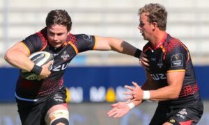 Kings still searching for the seasons' first Pro14 win - Sports Leo