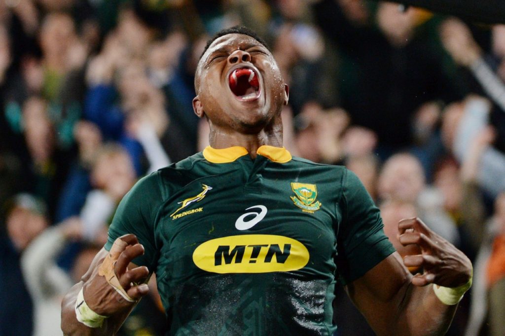 South Africa climb World Rugby Men's Rankings - Sports Leo