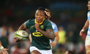 Springbok Sbu Nkosi in for injured winger Cheslin Kolbe - Sports Leo