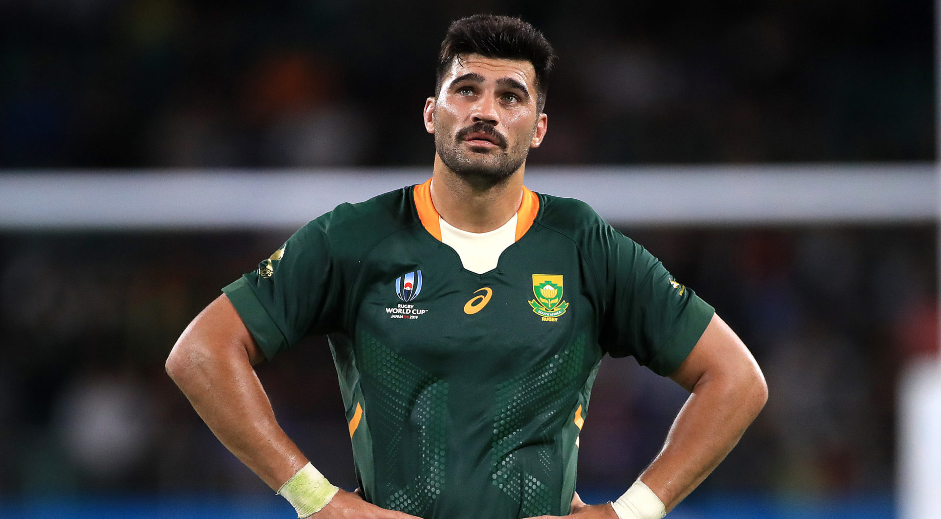 Springboks to fire on all cylinders against Canada in RWC - Sports Leo