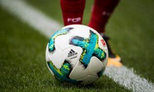 Germany's Bundesliga to partner with Premier Soccer League - Sports Leo