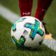 Germany's Bundesliga to partner with Premier Soccer League - Sports Leo