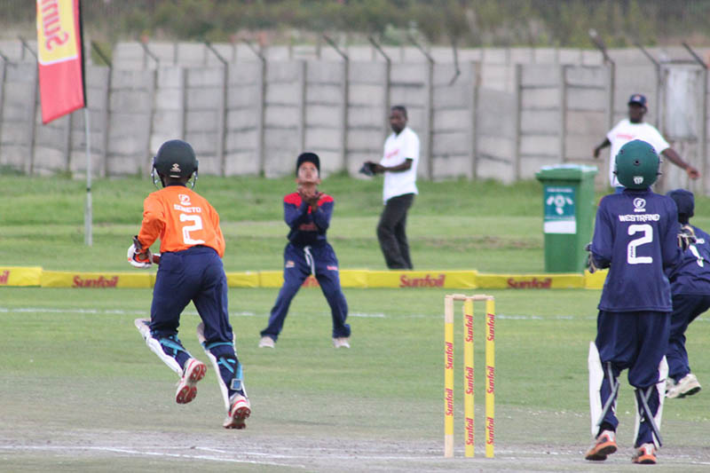 Cricket development in Gauteng receives transport boost - Sports Leo