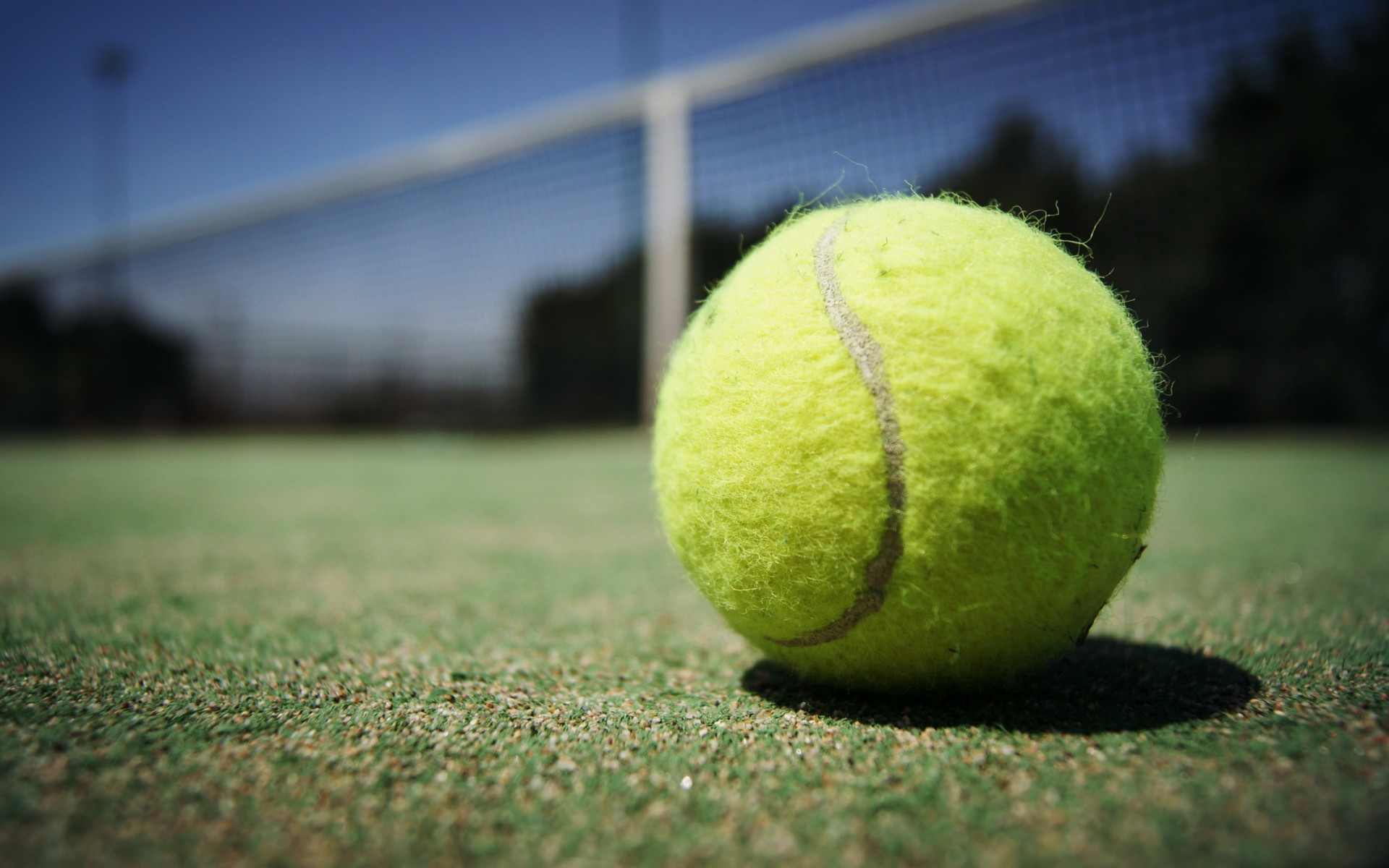 Eastern Cape to host R100k tennis tournament in January - Sports Leo