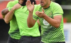 Blitzboks on track for 2020 Olympics – SA coach Neil Powell - Sports Leo
