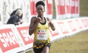 Closely-fought Spar Grand Prix predicted in 2020 - Sports Leo