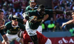 SA Rugby suspends all national team training camps - Sports Leo