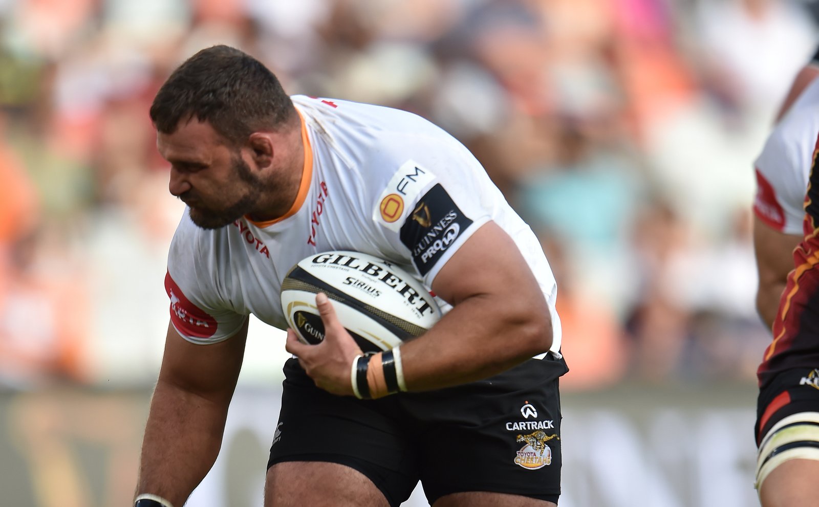Cheetahs extend Namibian prop Coetzee contract to 2022 - Sports Leo