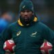 Springbok assistant coach Stick making the best of online tools - Sports Leo
