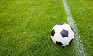 Gambia Football Federation cancels current domestic season - Sports Leo