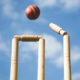 Northerns club cricket league winners announced - Sports Leo