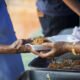 SA Rugby launches campaign to feed the hungry - Sports Leo