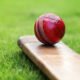Western Province Cricket Association appoint interim CEO - Sports Leo