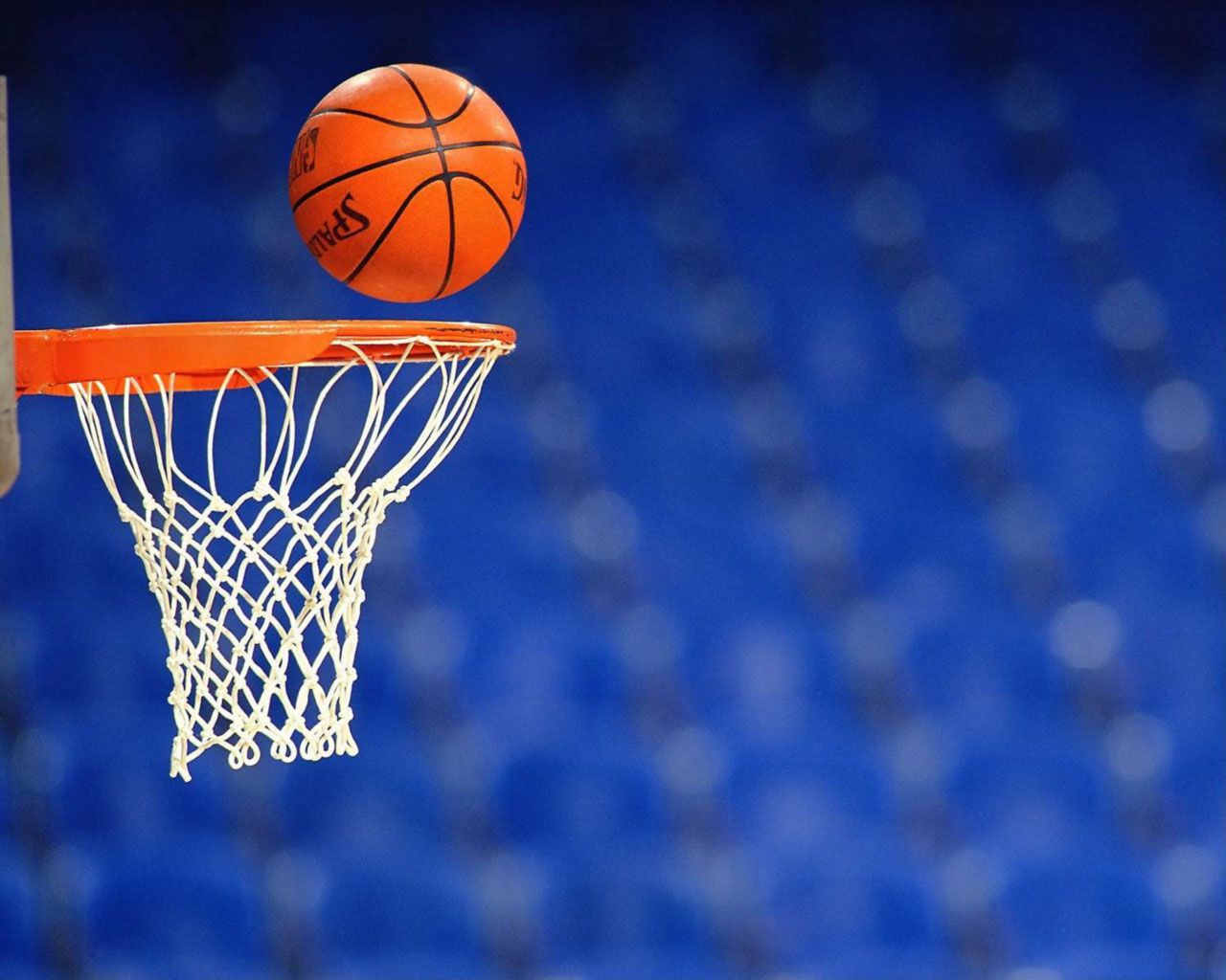 Egypt Basketball Federation to resume action on August 15 - Sports Leo