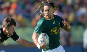 Davids duo left at the summit of Blitzbok scoring charts - Sports Leo