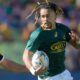 Davids duo left at the summit of Blitzbok scoring charts - Sports Leo