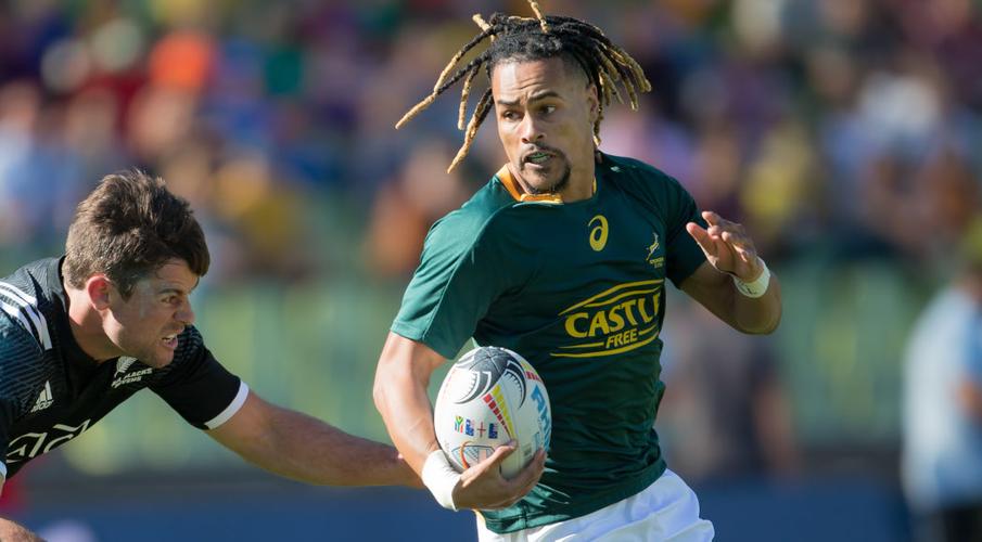 Davids duo left at the summit of Blitzbok scoring charts - Sports Leo