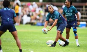 Blitzboks coach Powell relishing return to training - Sports Leo