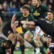 Australia to hold Rugby Championship in November - Sports Leo