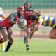 KENYA LIONESSES