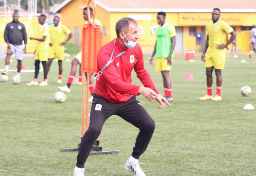 micho in training