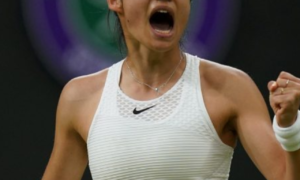 cropped-image-143.png