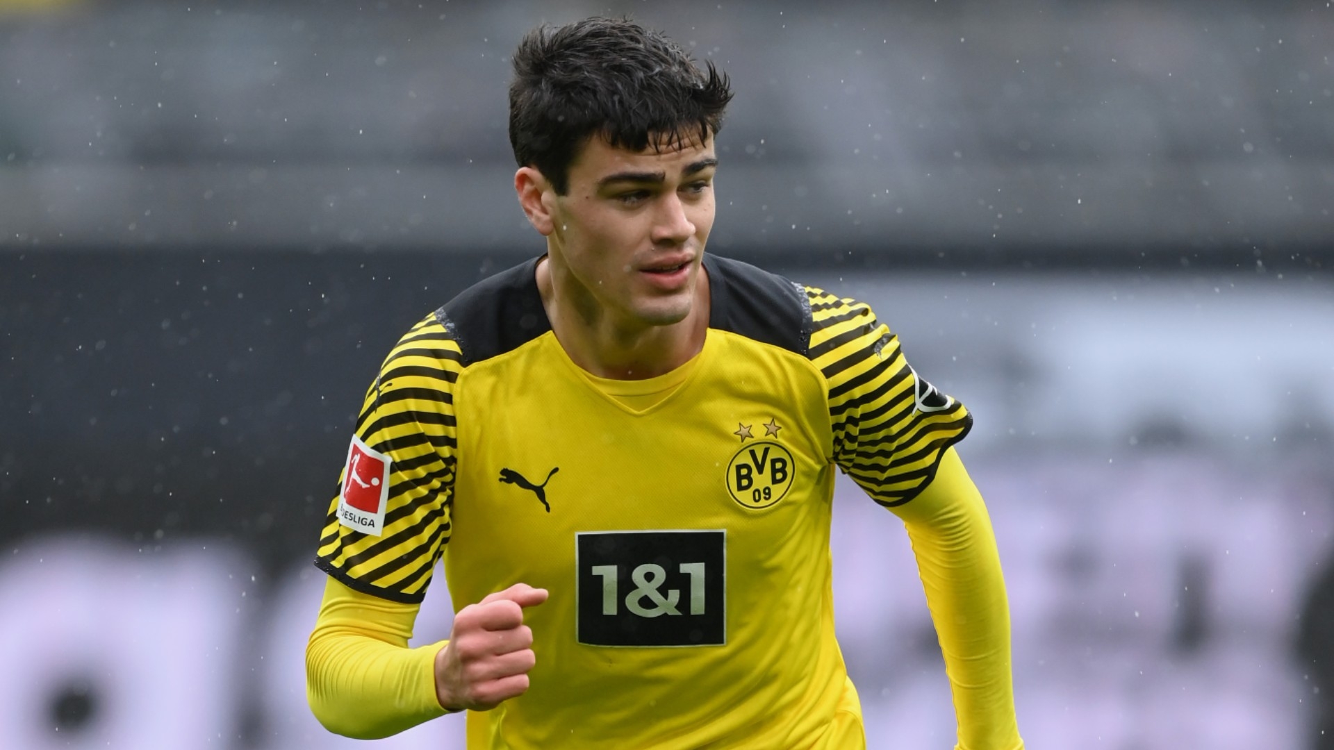 Gio Reyna Borussia Dortmund