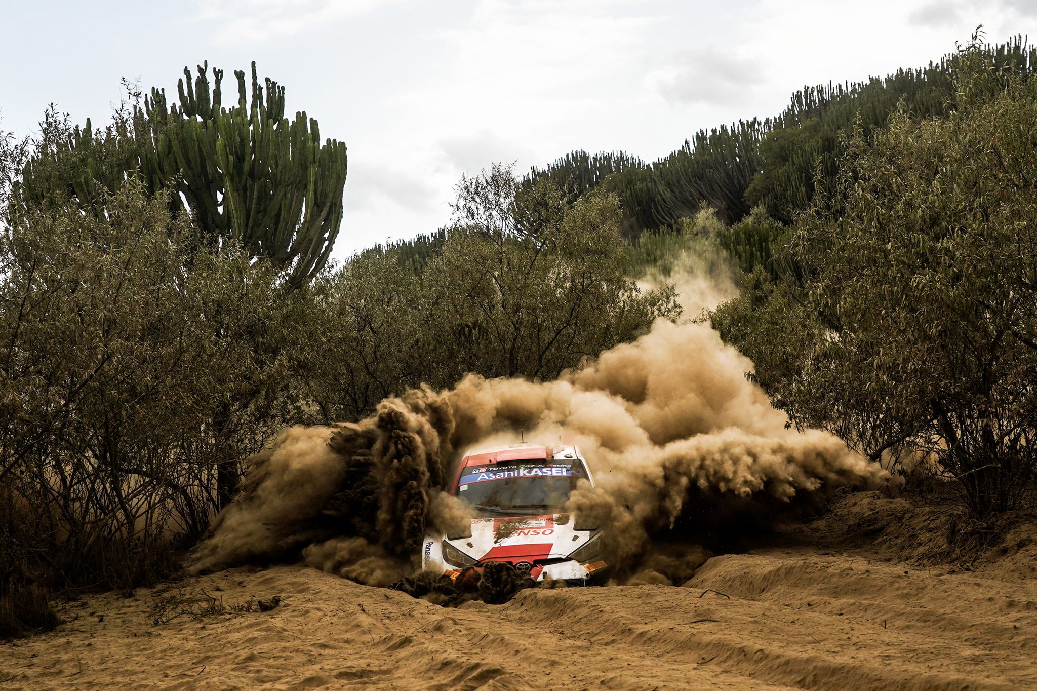 Safari Rally