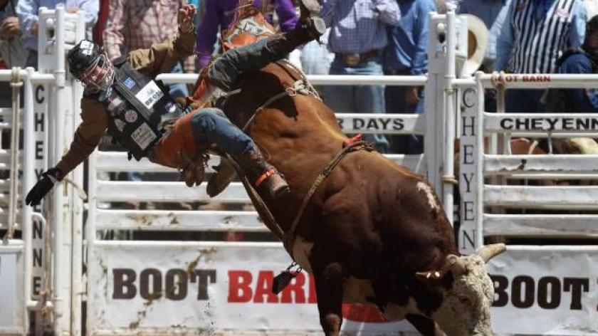 bull riding