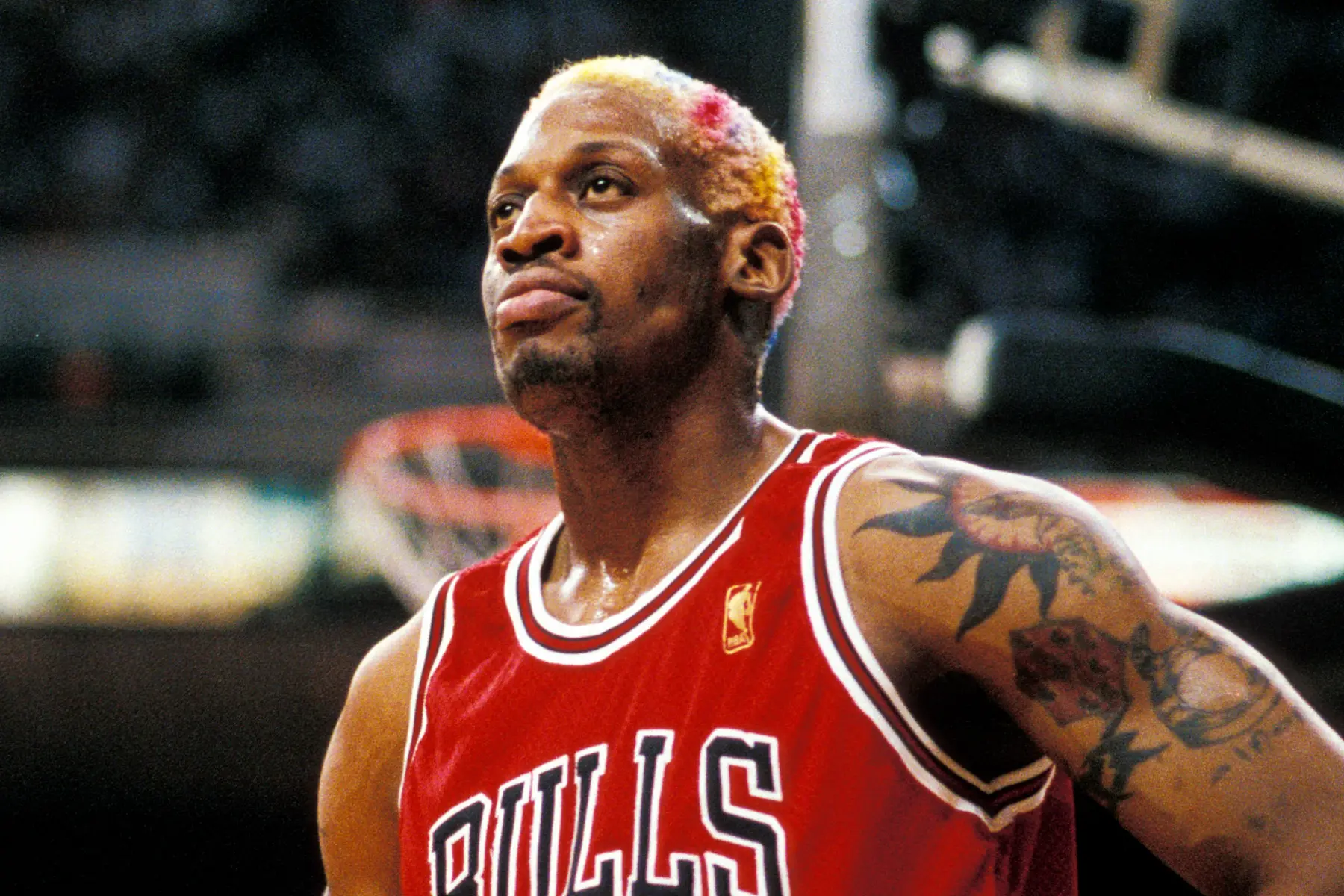 NBA Legend Dennis Rodman