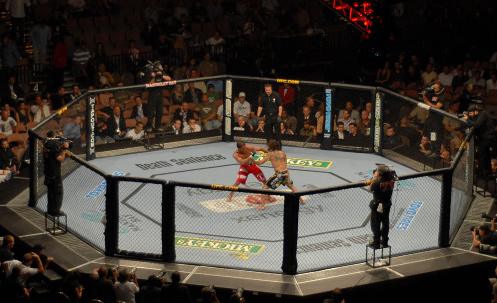 MMA Octagon