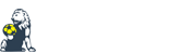 Latest Sports News Africa | Latest Sports Results