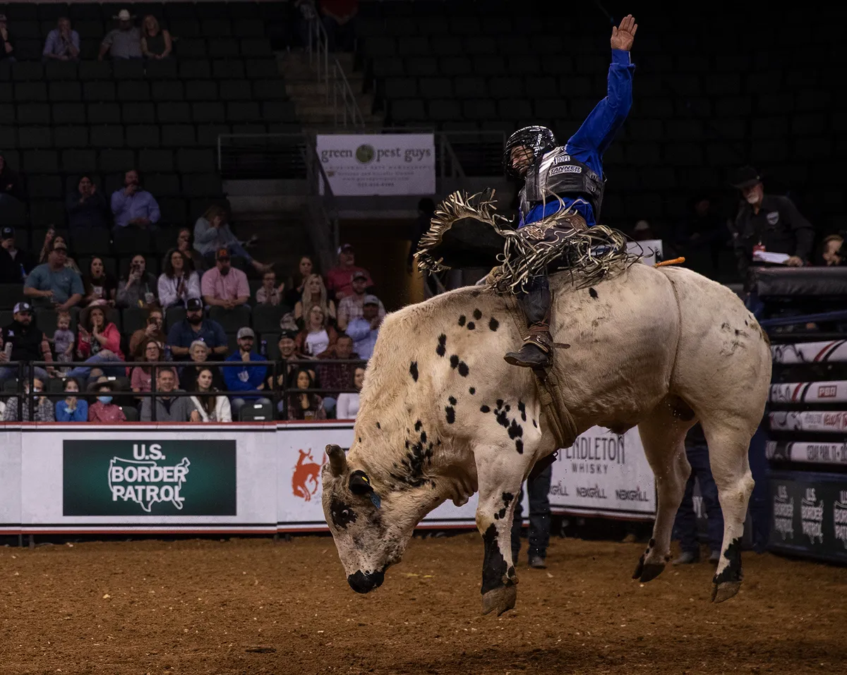 Bull riding sport