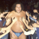 Andre the Giant