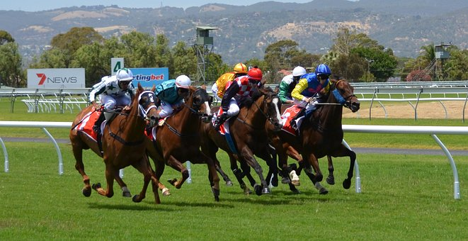 Horse Racing