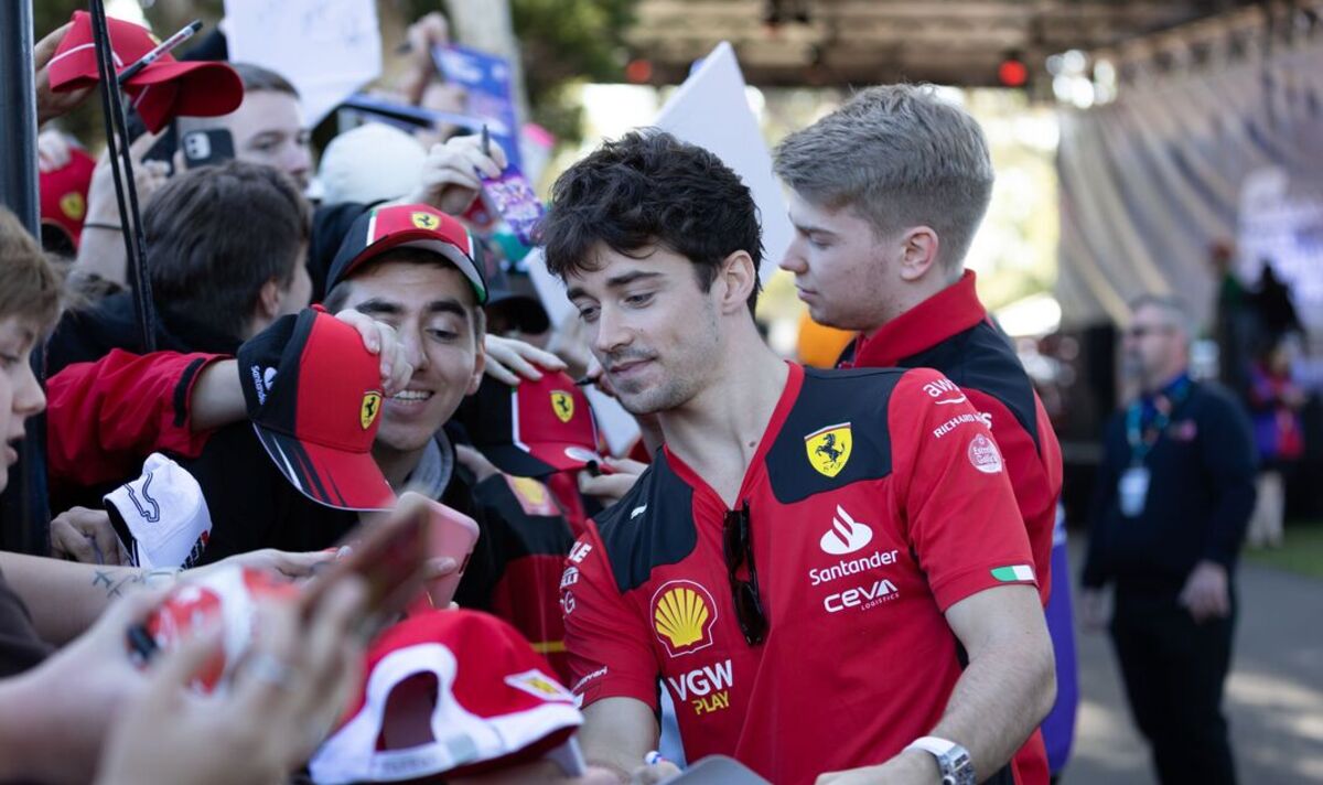 Charles leclerc fans