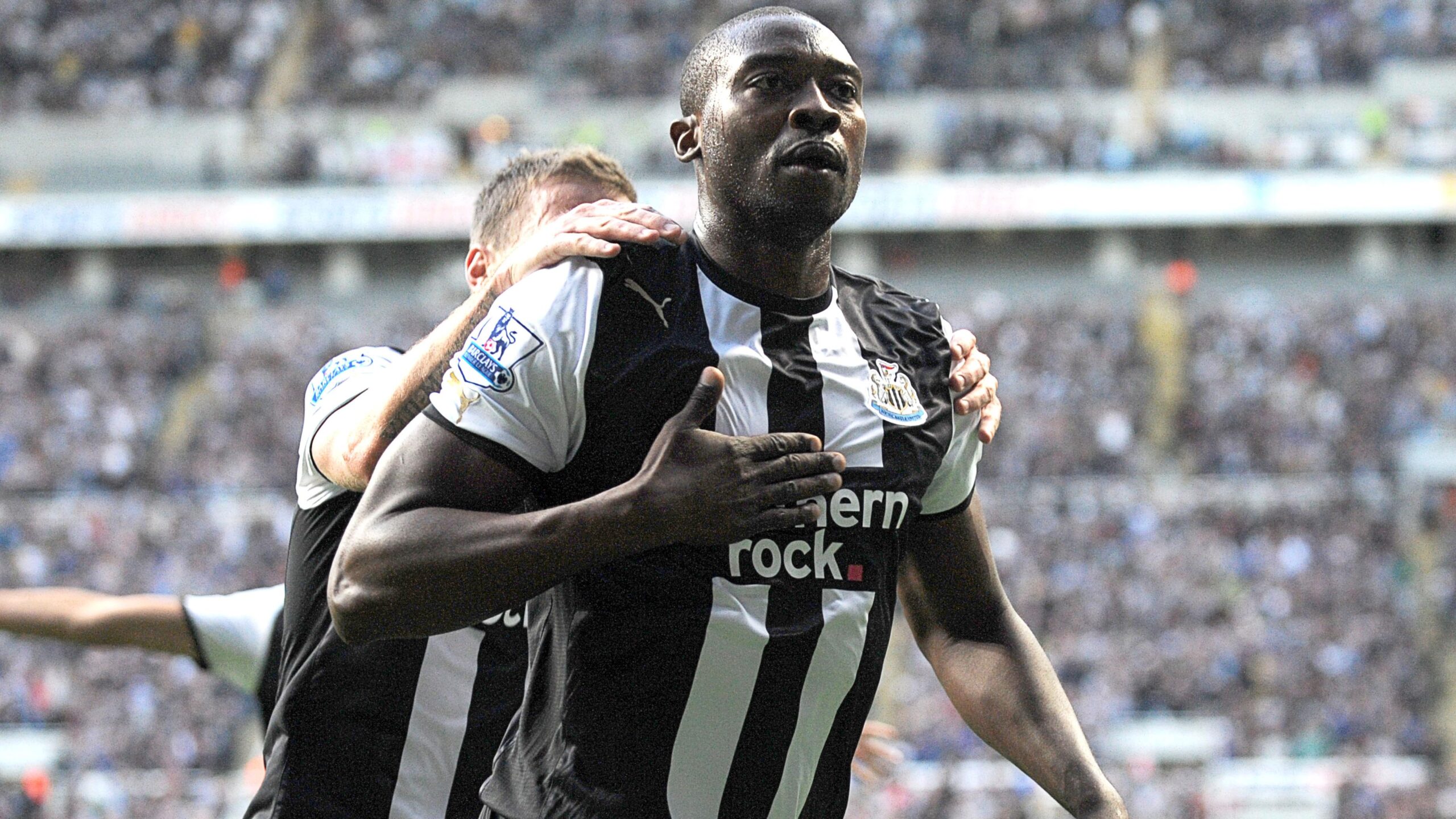 Shola ameobi net worth